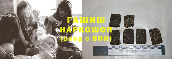 ГАЛЛЮЦИНОГЕННЫЕ ГРИБЫ Гусев