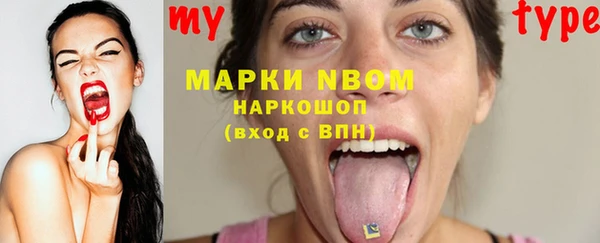 ГАЛЛЮЦИНОГЕННЫЕ ГРИБЫ Гусев