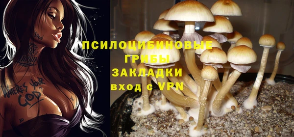 соль курить ск Гусь-Хрустальный