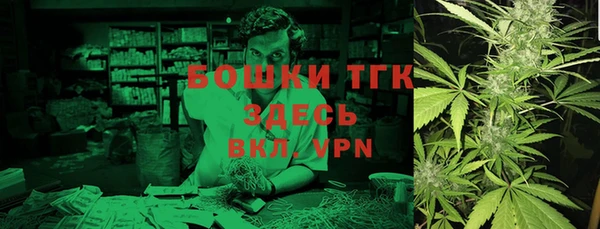 ГАЛЛЮЦИНОГЕННЫЕ ГРИБЫ Гусев