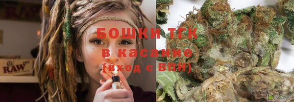 ГАЛЛЮЦИНОГЕННЫЕ ГРИБЫ Гусев