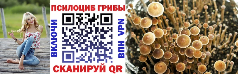 Купить  Курган  Псилоцибиновые грибы MAGIC MUSHROOMS 